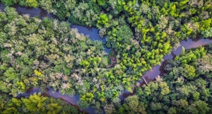 Paraguay Carbon Forum 2026: foro internacional sobre mercados de carbono