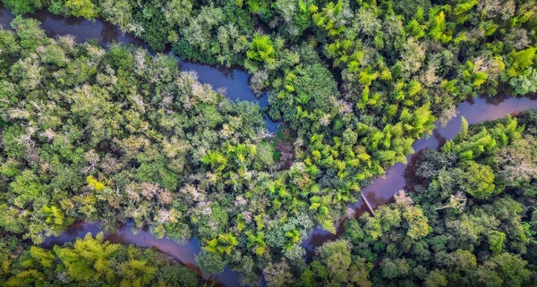 Paraguay Carbon Forum 2026: foro internacional sobre mercados de carbono