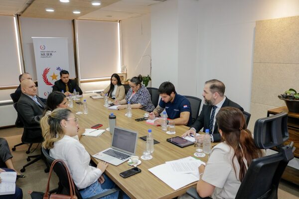 Ministerios de la Mujer, Justicia y Niñez articulan estrategia contra la violencia familiar
