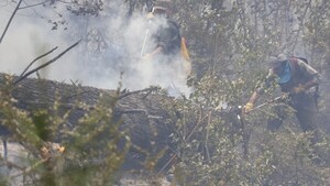 Más de 500 brigadistas trabajan en extinguir el fuego en la Patagonia Argentina