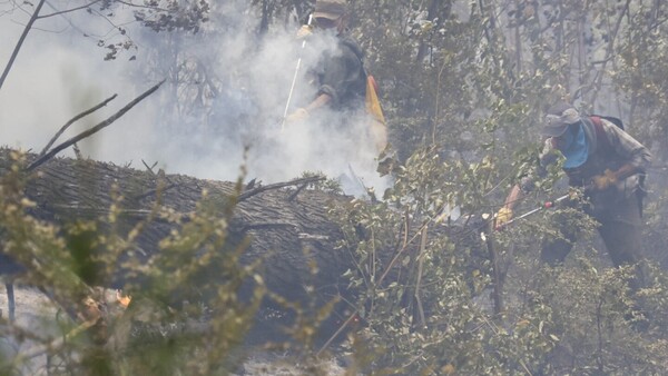 Más de 500 brigadistas trabajan en extinguir el fuego en la Patagonia Argentina