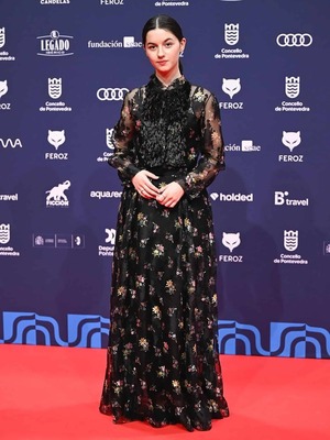 Premios Feroz 2026: Los Mejores Looks de la Alfombra Roja