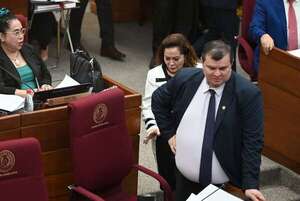 Dionisio, Noelia Cabrera y Yamy Nal, los más viajeros durante el 2025 - Política - ABC Color