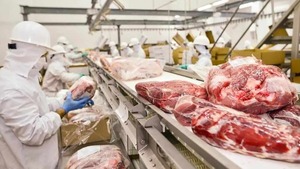 Carne Paraguaya a Turquía: Avances en Auditoría 2026