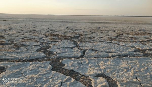 Laguna Salada: El Inesperado "Salar de Uyuni" del Chaco