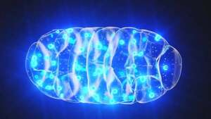 Pruebas Antiage en Humanos 2026: Ciencia de la Juventud