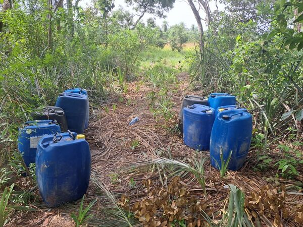 Hallan restos de dólares en avioneta siniestrada en Paso Bravo, Concepción - Concepción al Día