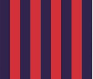 Señores diseñadores: ¡DEVUÉLVANOS LA CAMISETA DE CERRO PORTEÑO!