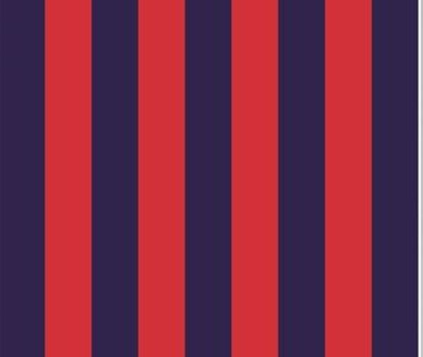 Señores diseñadores: ¡DEVUÉLVANOS LA CAMISETA DE CERRO PORTEÑO!