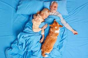 Guía de supervivencia para quienes conviven con mascotas: cómo recuperar tu lugar en la cama - Mascotas - ABC Color