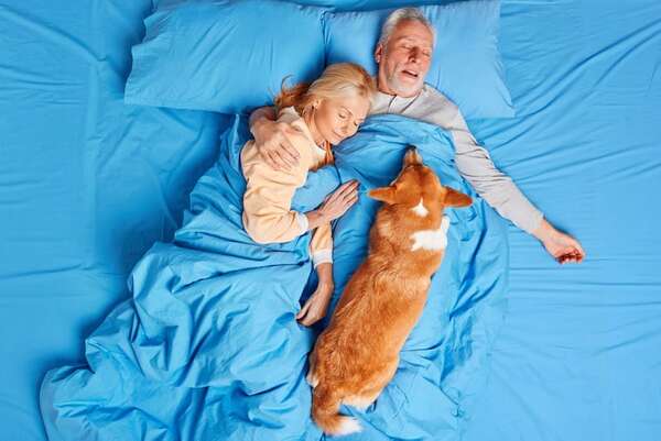 Guía de supervivencia para quienes conviven con mascotas: cómo recuperar tu lugar en la cama - Mascotas - ABC Color