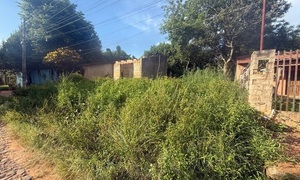 Buscarán endurecer ordenanza para obligar limpieza de terrenos baldíos en Coronel Oviedo - OviedoPress