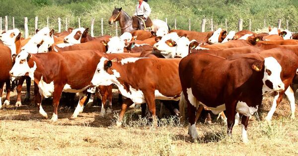 Dónde invertir hoy en Paraguay