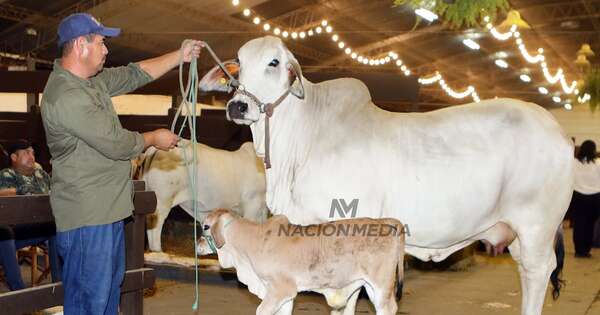 Cuidar hoy para producir mañana