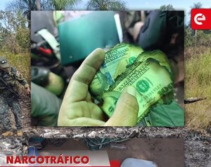 Hallan presunta avioneta narco siniestrada en Concepción - Canal-E