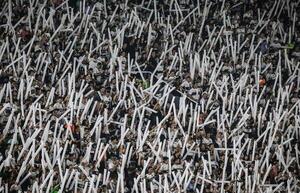 Precios populares para el Sportivo 2 de Mayo vs. Olimpia