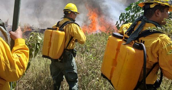 Diario HOY | Al menos 50 bomberos trabajan para contener un incendio en la Costanera Sur