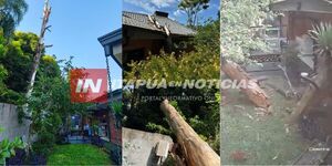 UN CASO DE DESIDIA MUNICIPAL QUE PUDO TERMINAR EN TRAGEDIA