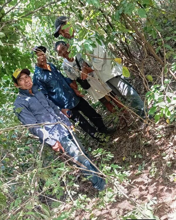 Hallan sano y salvo a hombre de 74 años reportado como desaparecido en Yby Yaú - Concepción al Día