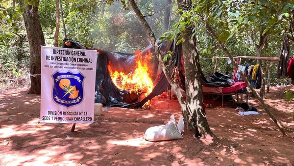 Popular / Fortuna Guazú: Oiko jehapy de plantación de macoña
