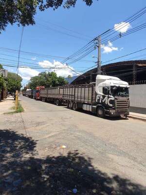 Tablada: vecinos denuncian que transganados  siguen ingresando, pese a ordenanza - Nacionales - ABC Color