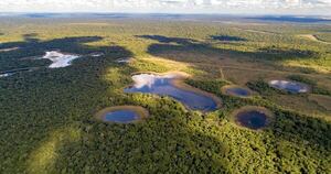 Diario HOY | La Fundación Moisés Bertoni cumple 38 años conservando la naturaleza junto a las comunidades