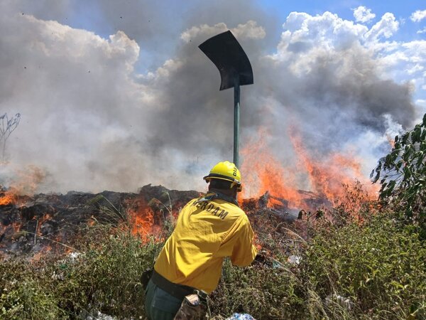 Incendio de gran escala amenaza la Costanera Sur y obliga a un amplio despliegue de bomberos