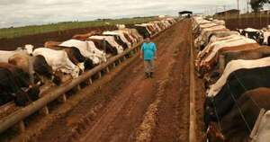 La Nación / La AFD amplía su crédito ganadero a USD 10 millones