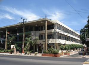 Fernando de la Mora: Licencias con QR desde marzo