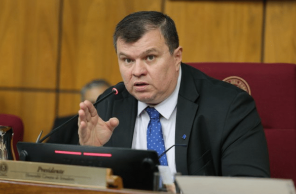 Amarilla plantea consenso para Caja Fiscal y Parlamentaria