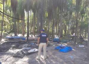 Avión incinerado: zona era utilizada constantemente por narcotraficantes en Concepción  - Policiales - ABC Color