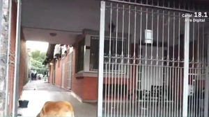 FERNANDO DE LA MORA: ASALTO DOMICILIARIO TERMINA CON DOS MUERTOS