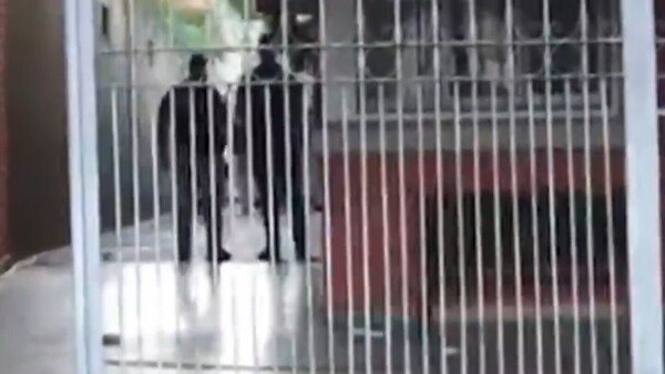 Robo domiciliario en Fernando de la Mora termina con dos fallecidos