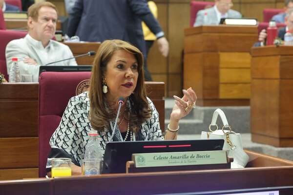 Celeste Amarilla trata de “burros” a docentes y dice que el Estado no tiene por qué subsidiar ninguna caja - Política - ABC Color