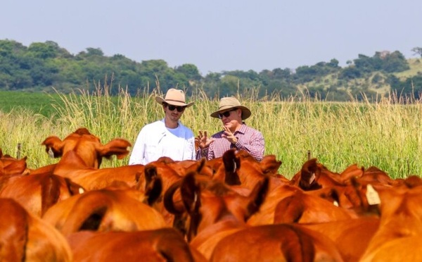 Con participación paraguaya, el Brangus del Mercosur intercambia experiencias técnicas en Sudáfrica