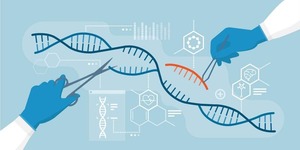 AlCas12a: La nueva enzima CRISPR que revoluciona la ciencia