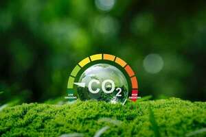 Día Mundial por la Reducción de las Emisiones de CO₂: no solo un “día verde” - Ciencia - ABC Color