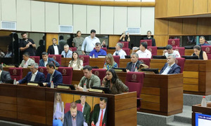 En pleno receso parlamentario, habilitan sesión extraordinaria para tratar la reforma de la Caja Fiscal - OviedoPress