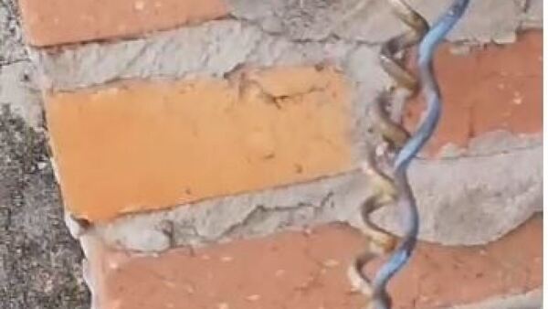 ¡El colmo! Adictos robaron todo el cableado de una casa y dejaron “regalitos”