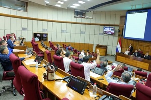 Convocan a sesión extraordinaria en Diputados para tratar la reforma de la Caja Fiscal