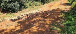 San Miguel: pobladores piden una intervención urgente para reparación de caminos vecinales - Nacionales - ABC Color