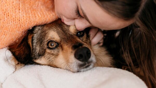 Animales como seres sintientes: un cambio en la conciencia social - Portal Digital Cáritas Universidad Católica