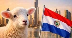 Paraguay conquista el Golfo: carne ovina lista para Emiratos Árabes Unidos