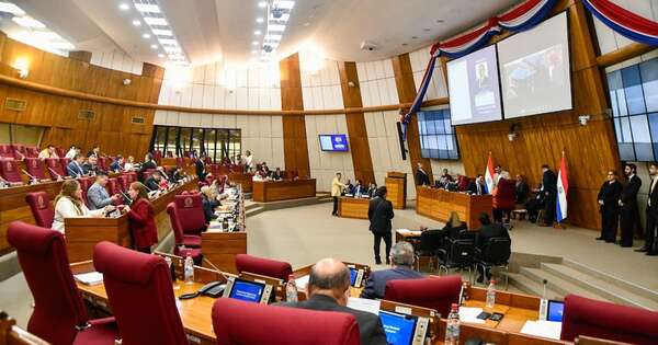 La Nación / Diputado fundamenta su pedido de sesión extra para tratar reforma de la Caja Fiscal