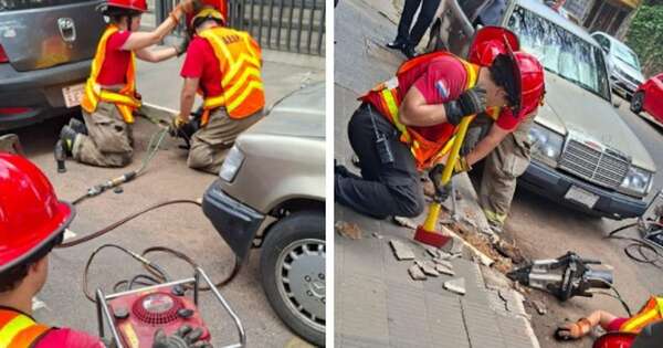 Diario HOY | Rescatan a un gato atrapado en una cañería del microcentro de Asunción