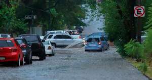 Diario HOY | Recuerdan línea para reportar árboles caídos u otros incidentes tras la intensa lluvia