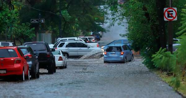 Diario HOY | Recuerdan línea para reportar árboles caídos u otros incidentes tras la intensa lluvia