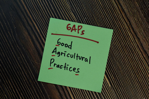 Paraguay cumple con las buenas prácticas, pero documentarlas sigue siendo el gran desafío