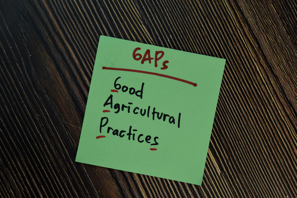 Paraguay cumple con las buenas prácticas, pero documentarlas sigue siendo el gran desafío