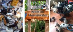 Ley de animalitos: "Conseguimos una victoria espectacular"